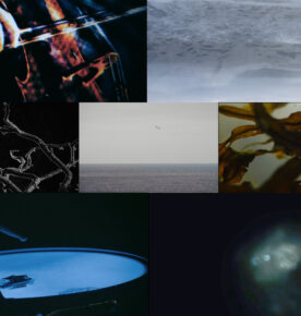 Photo: Laura Sheeran