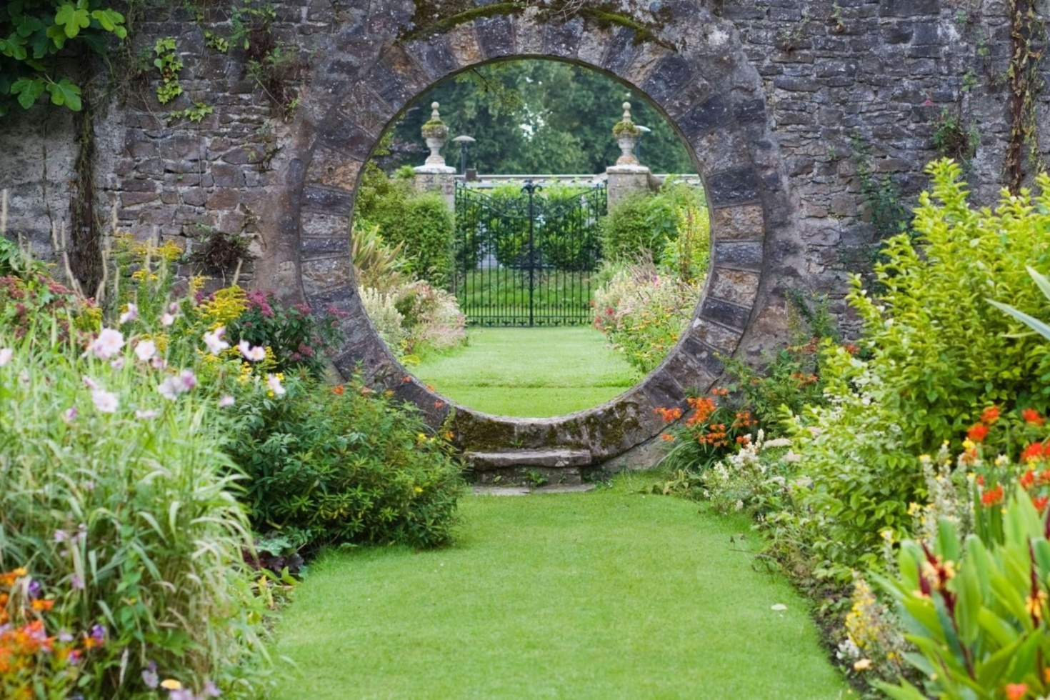 Mount Juliet Web