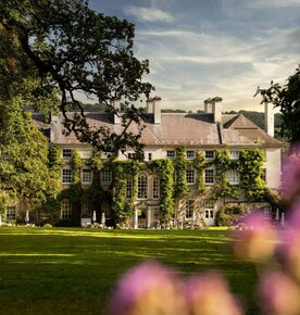 Mount juliet