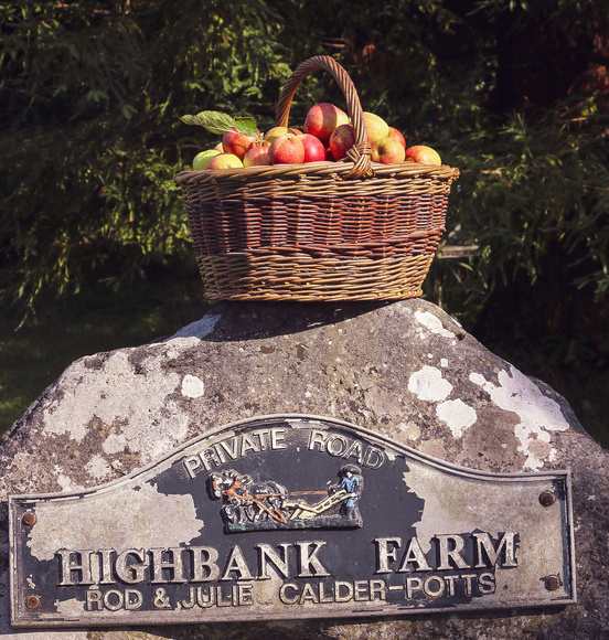 Highbank option 1