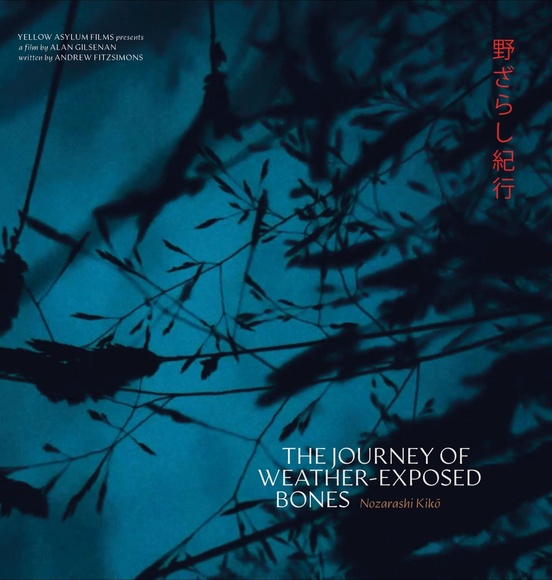Weather Exposed Bones web